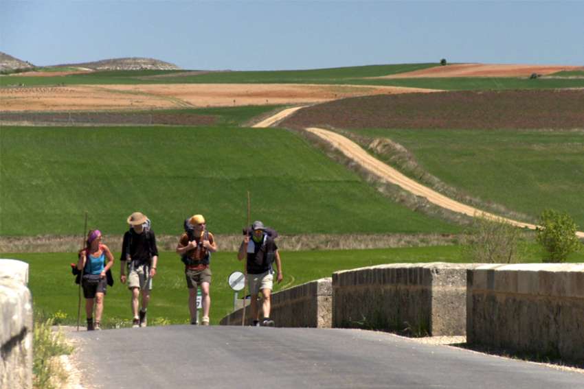 Speaking Out: The purpose  of pilgrimages