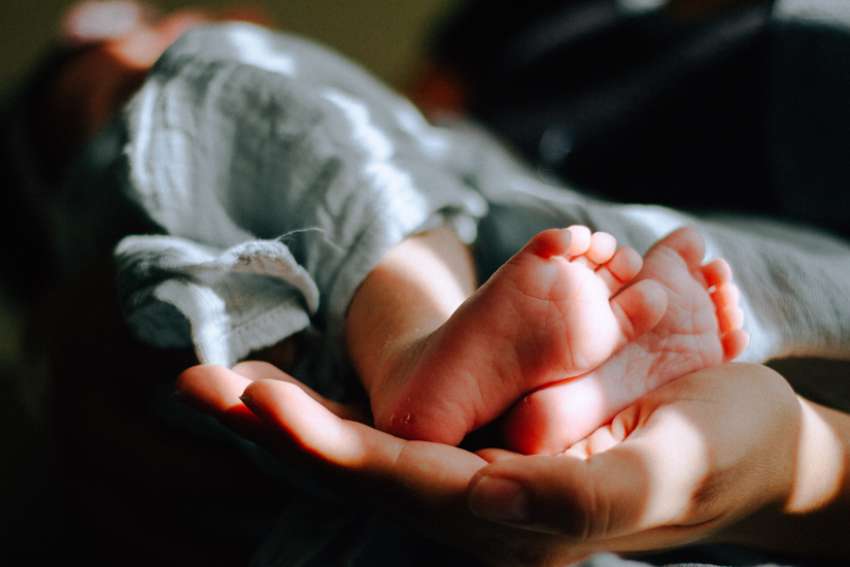 Pro-lifers fight back against MAiD for babies