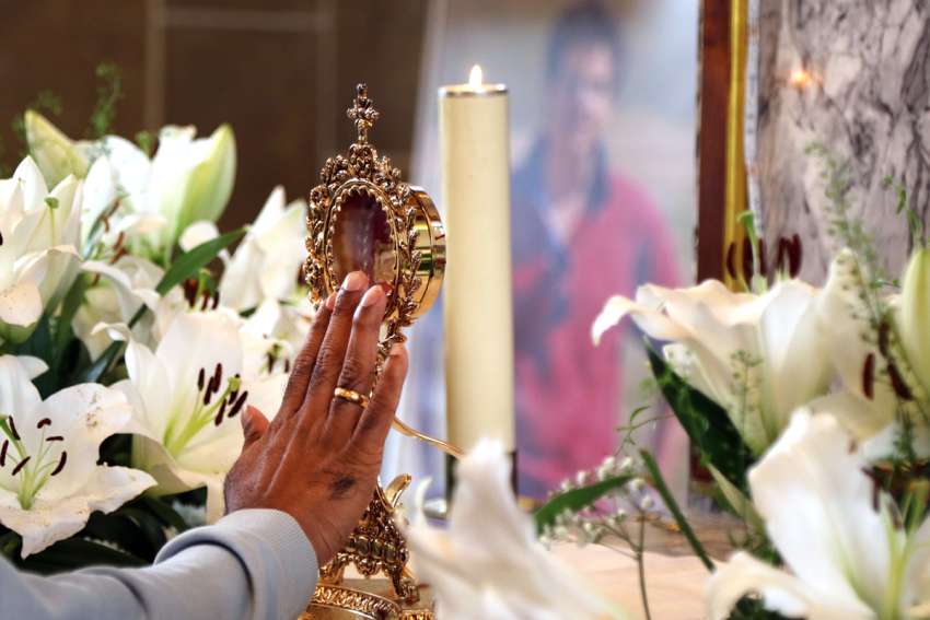 Blessed Carlo Acutis relic Ontario tour kicks off Oct. 31