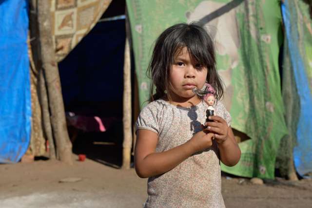 Pope urges activists to struggle against 'structural causes' of poverty