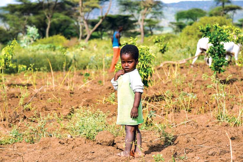 Horn of Africa facing worst drought in 60 years