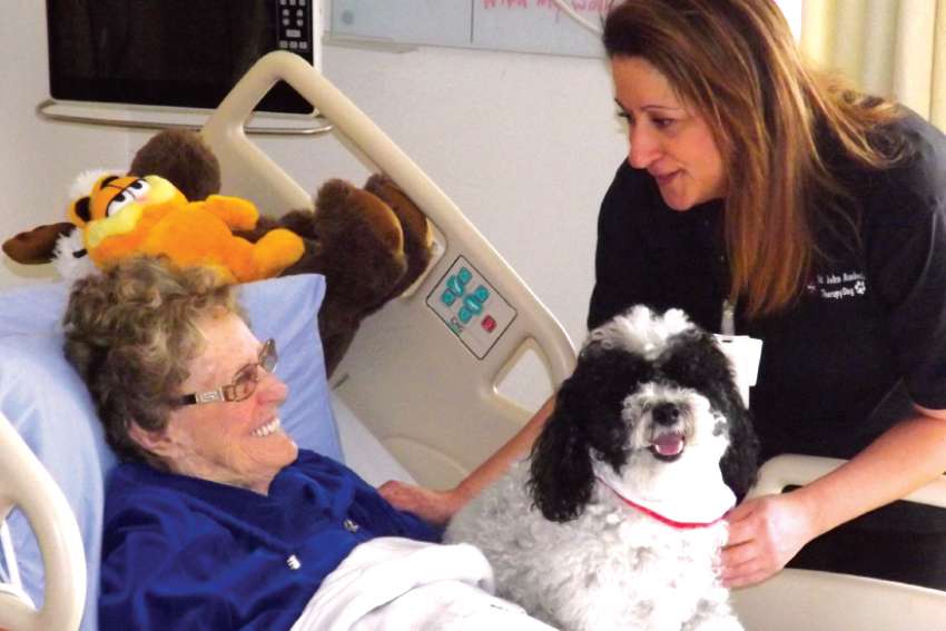 Therapy dogs bring some comforting four-legged medicine into the lives of hospital patients