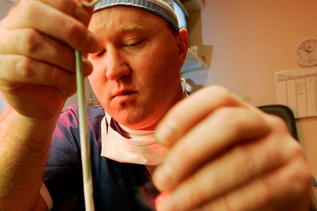 Womb transplants raise ethical concerns