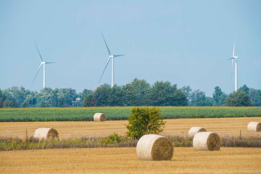Luke Stocking: Spiritual force needed to support green agenda