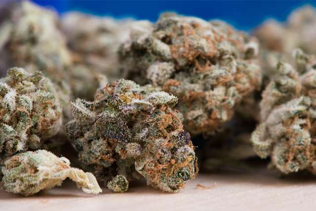 Cathy Majtenyi: Arguments for legal weed mostly smoke and mirrors