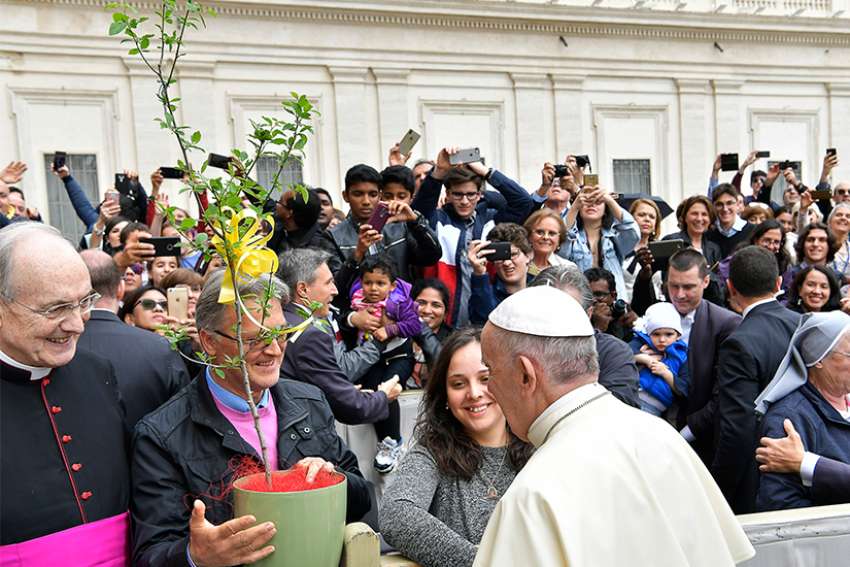 Be fruitful and multiply: Threatened trees planted in Vatican Gardens