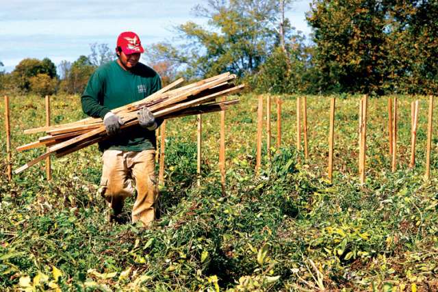 Well-intentioned bills on migrant workers don’t go far enough