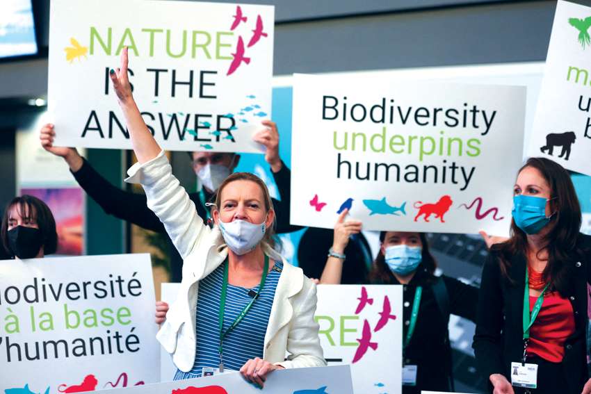 Activists urge action to protect biodiversity