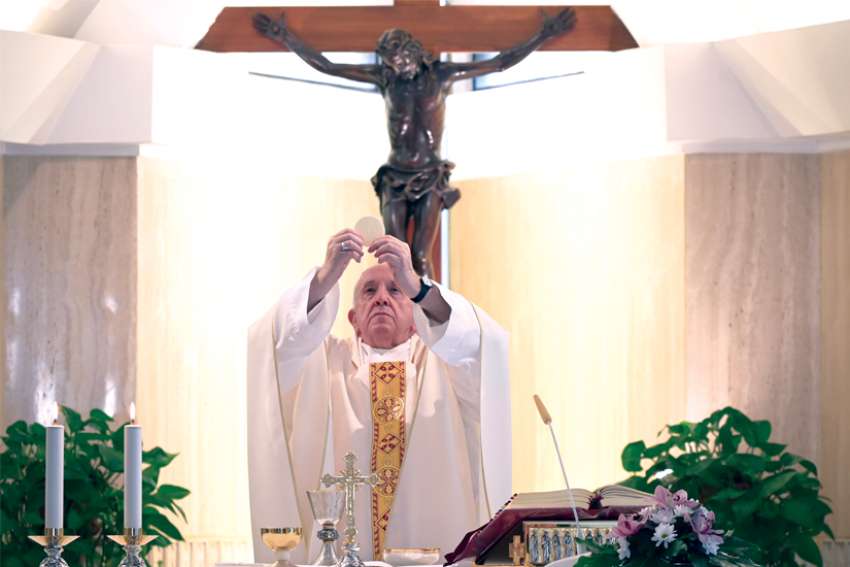Season of Creation prompts calls for action