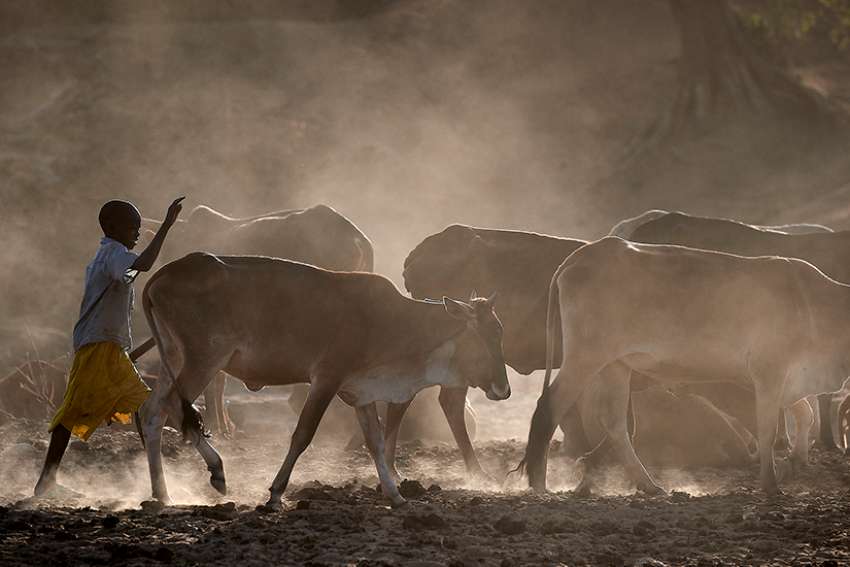 Africa is suffering from the cancer of tribalism, says retired bishop of Sudan