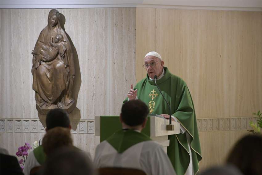 Pope Francis: Mind your own business to grow in holiness