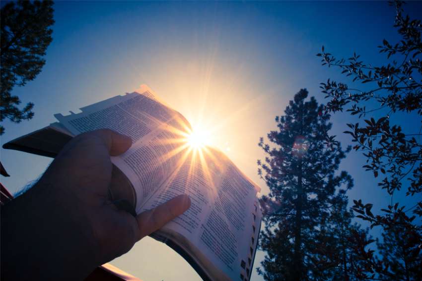God's Word on Sunday: We are nourished by Jesus’ unending care