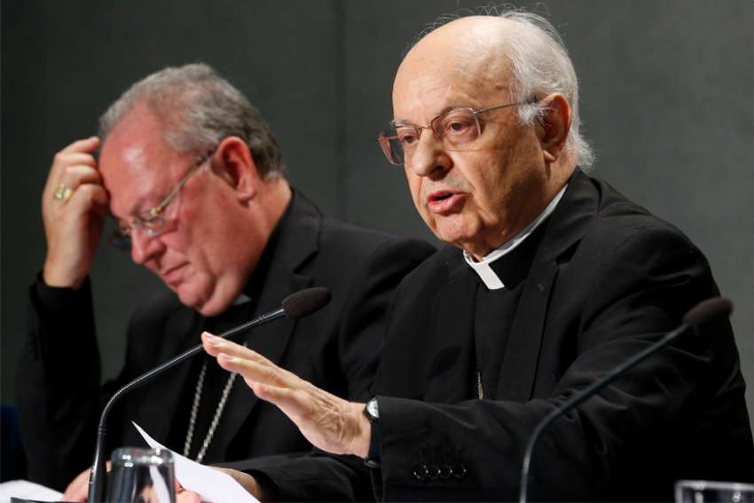 Synod document a guide, not church teaching, cardinal says
