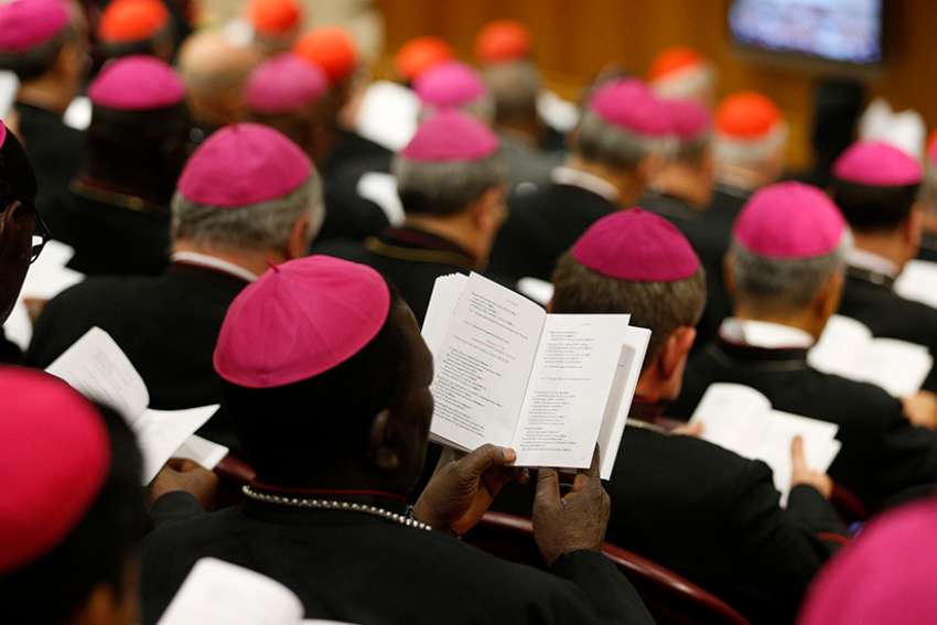 First formal synod reports focus on sex abuse, sexuality, friendship, mission