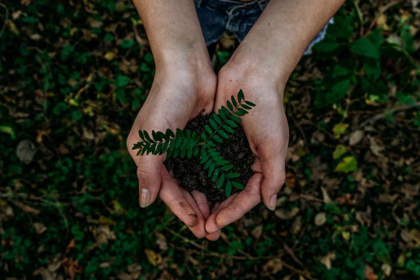 God's Word on Sunday: Crisis brings opportunity for renewal