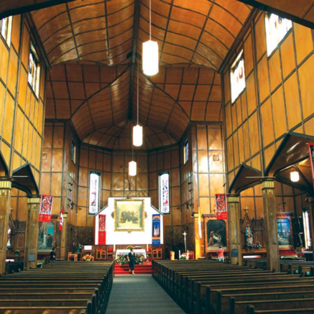 Greening of the Jesuits