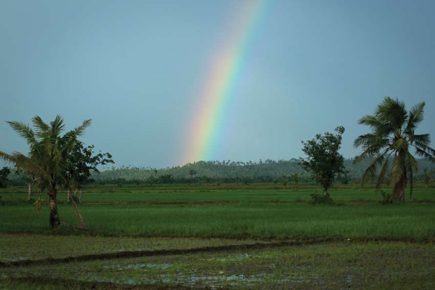 God's Word on Sunday: Rainbow offers sign of God’s promise