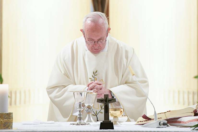 Pope's homily: Ask the Lord for the courage to follow Jesus