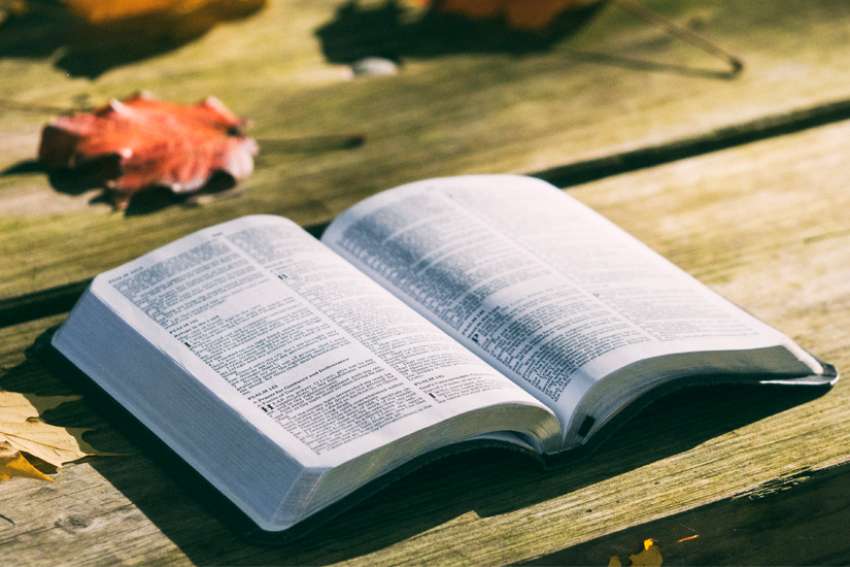 God's Word on Sunday: The Lord’s word is always at work