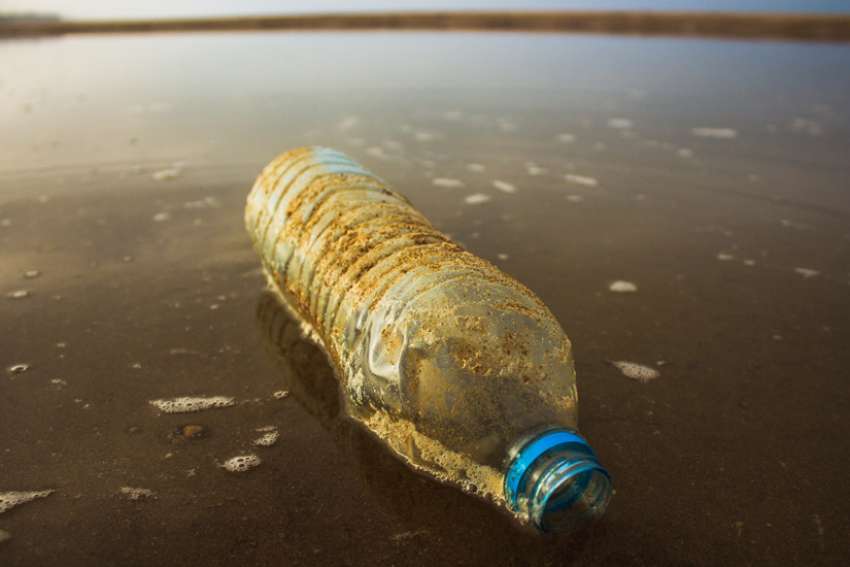 Editorial: Environmental sin