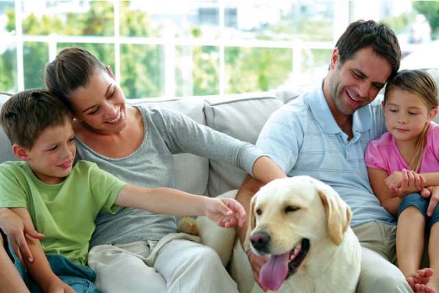 For Catholics, marriage, family life a ‘biggie’
