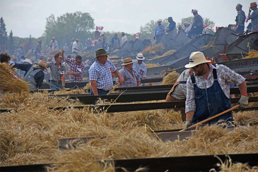 Grow Hope banking on ecumenical harvest to provide for the world's hungry