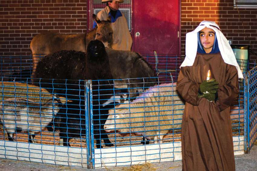 What the animals knew at Christmas