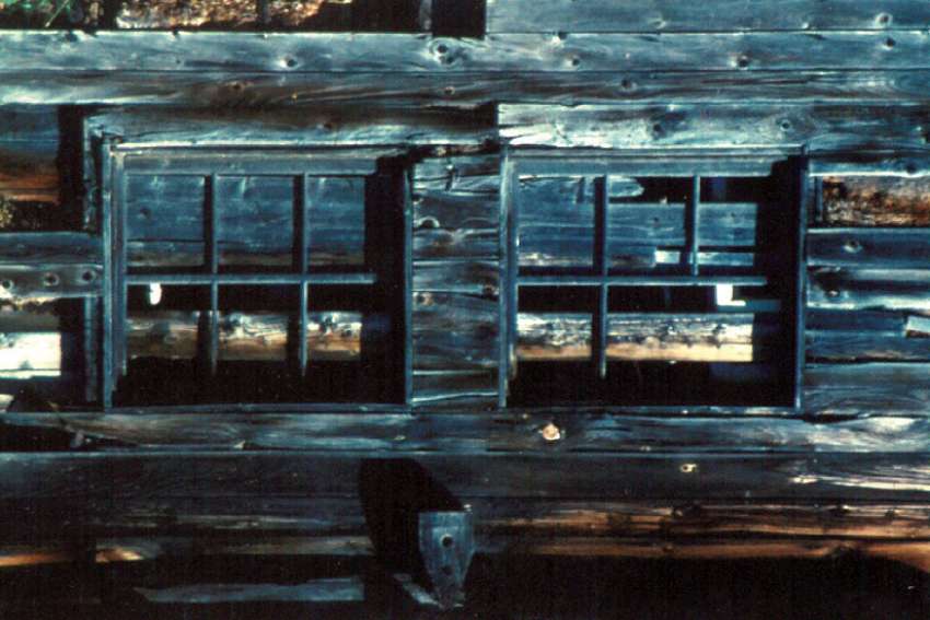 Figure of speech: Ghost images remind us of the great cycle of life