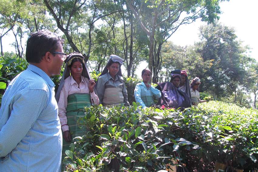 Jesuit gives voice to tea workers' plight in India