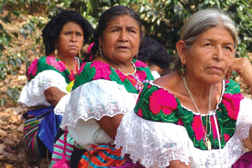 Mexican Indigenous seek a new path
