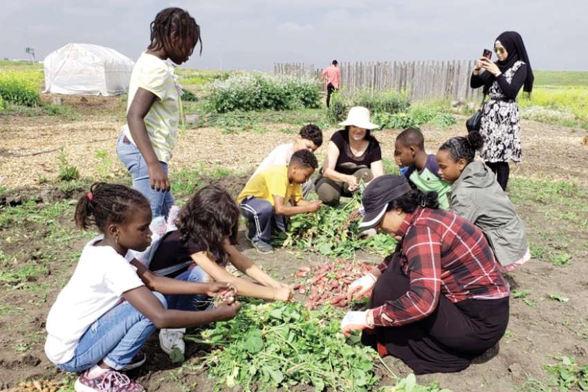Urban farm reaps bountiful harvest