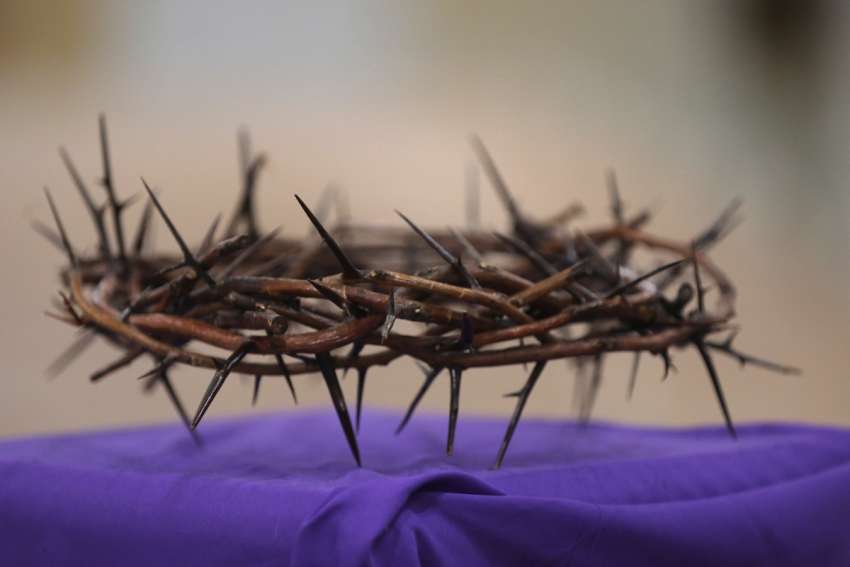 A Lenten walk in the fullness of Christ’s Way
