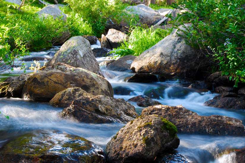 Preserving the beautiful stream