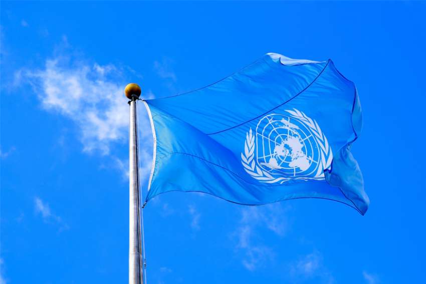 U.N. investigators call on church to do more to stop abuse