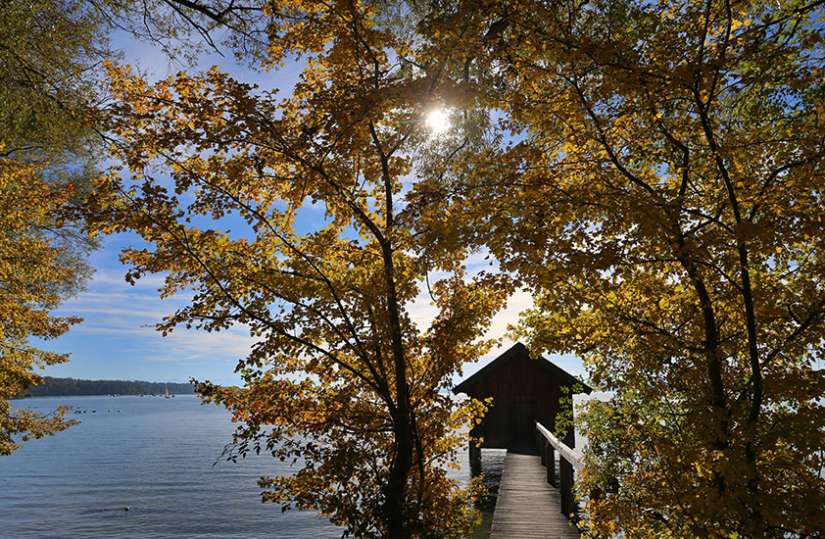 Canadian bishops join worldwide plea for climate change action