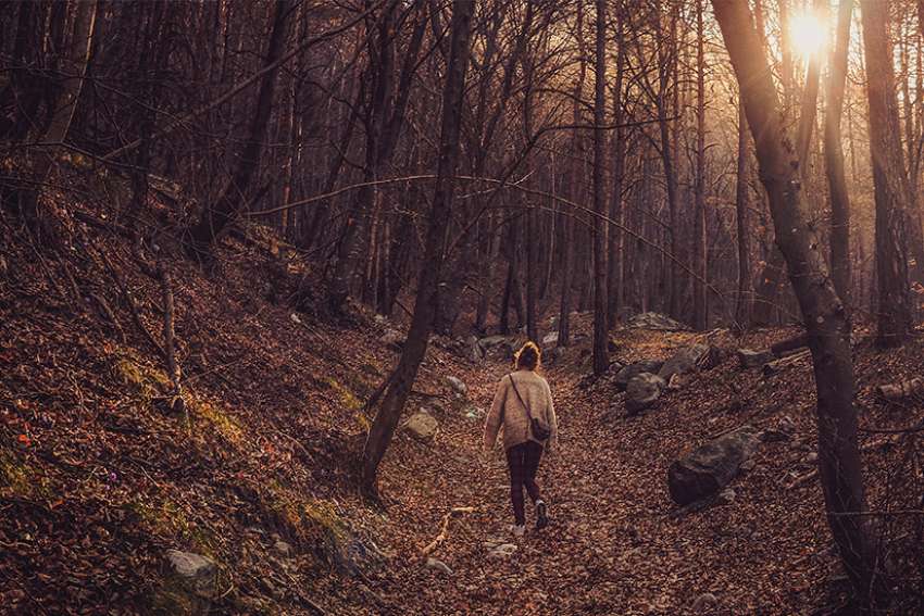 Vanessa Santilli-Raimondo: Forest bathing cleanses mind and body