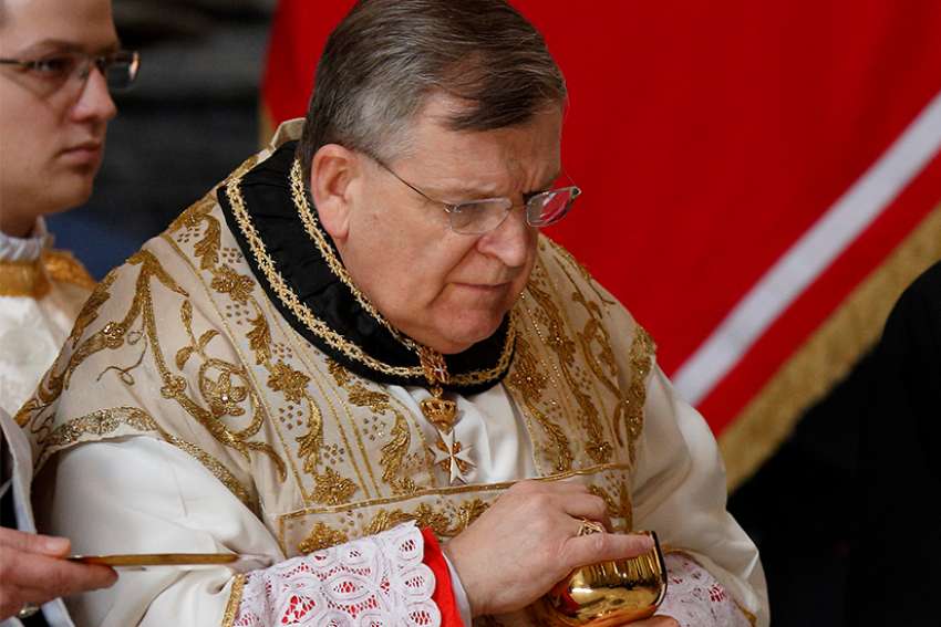 WikiLeaks releases dossier on Knights of Malta controversy