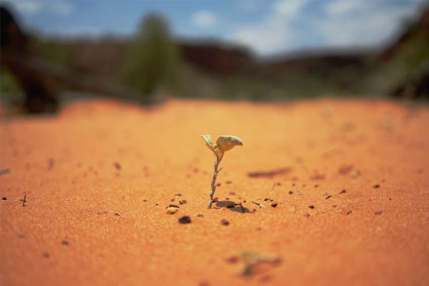 God's Word on Sunday: The humble have strength in character