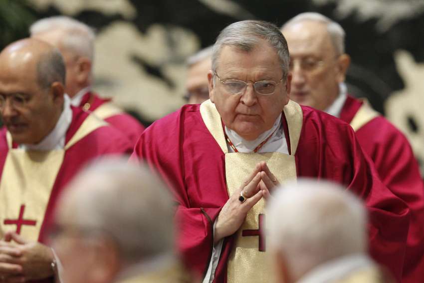 Cardinal Burke sees 'grave harm' coming from synod process