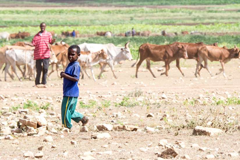Drought in Africa adds pressure to religious groups, relief organizations