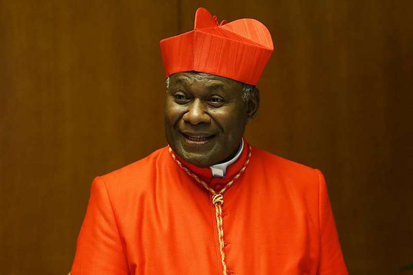 Papua New Guinea's cardinal: climate change is more concerning than 'Amoris Laetitia'