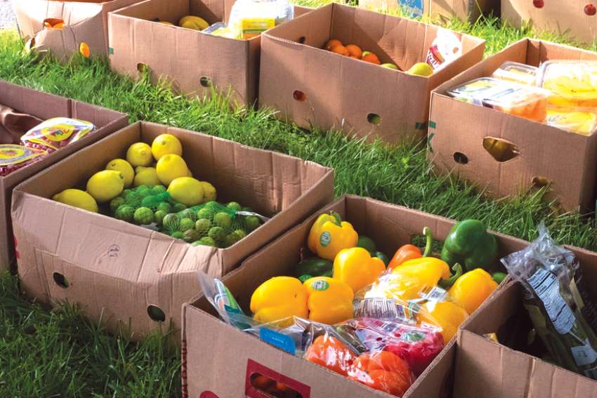 Housing costs put squeeze on food banks