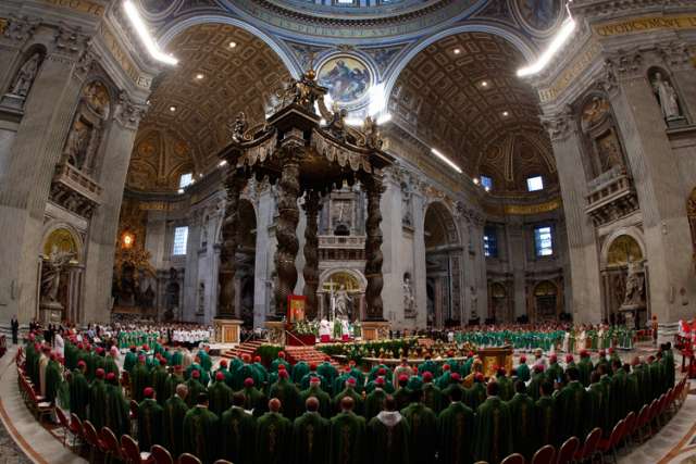 Synod members called to seek unity in diversity, cardinal says