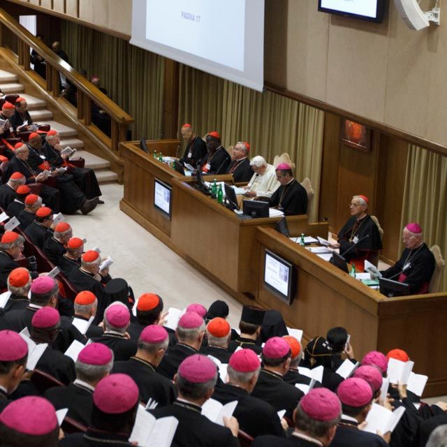 For synod members, media part of the problem, part of the solution
