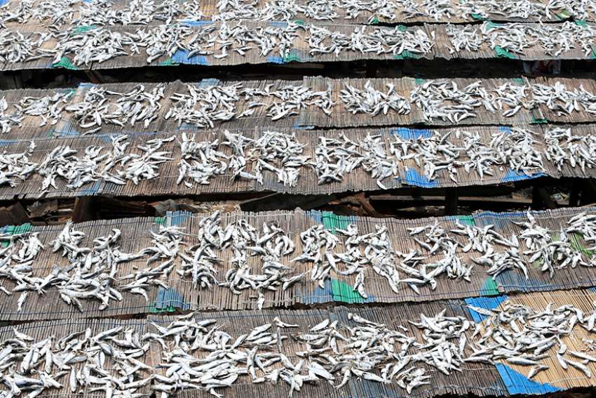 Comment: Our environmental abuse puts us on a road to ruin
