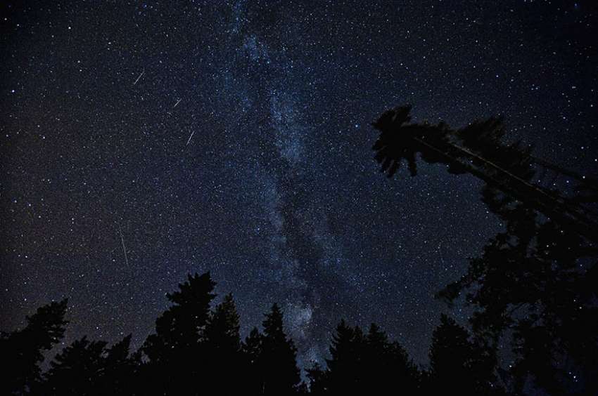 'Tears of St. Lawrence' meteor shower to light up the sky