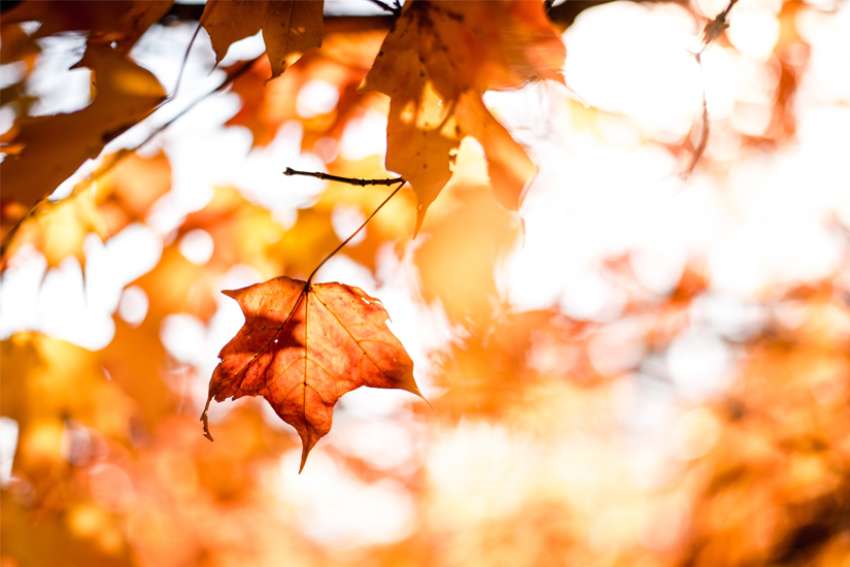 Speaking Out: Striking a seasonal balance