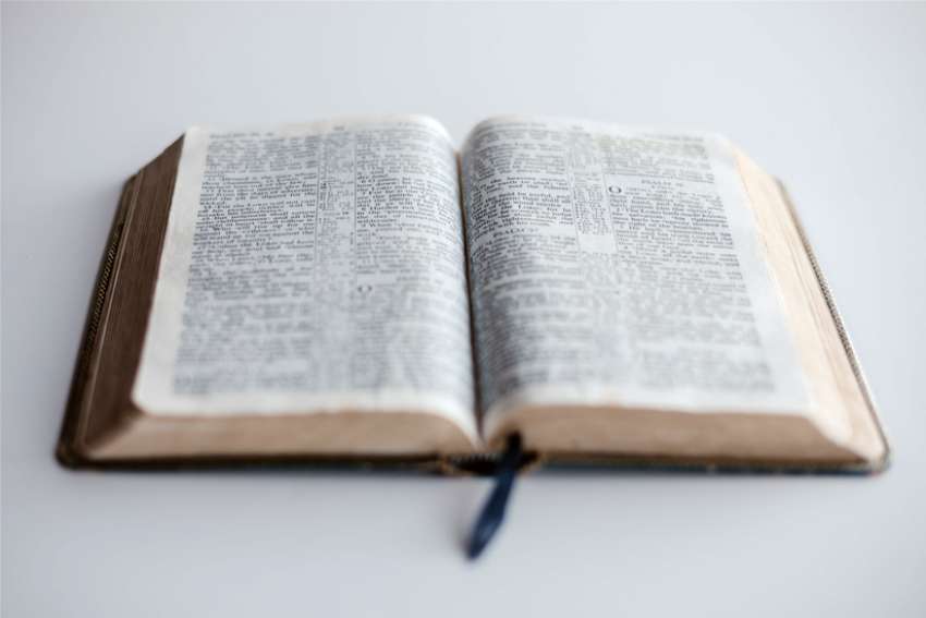 Pope Francis to institute formal 'ministry of catechist'