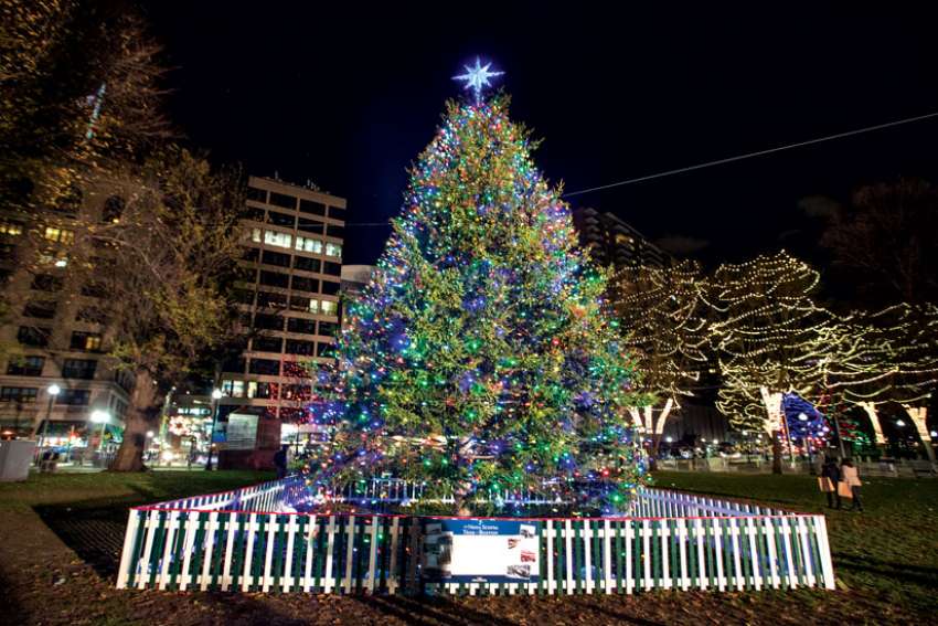Nova Scotia-Boston Christmas tree tradition was born out of tragedy