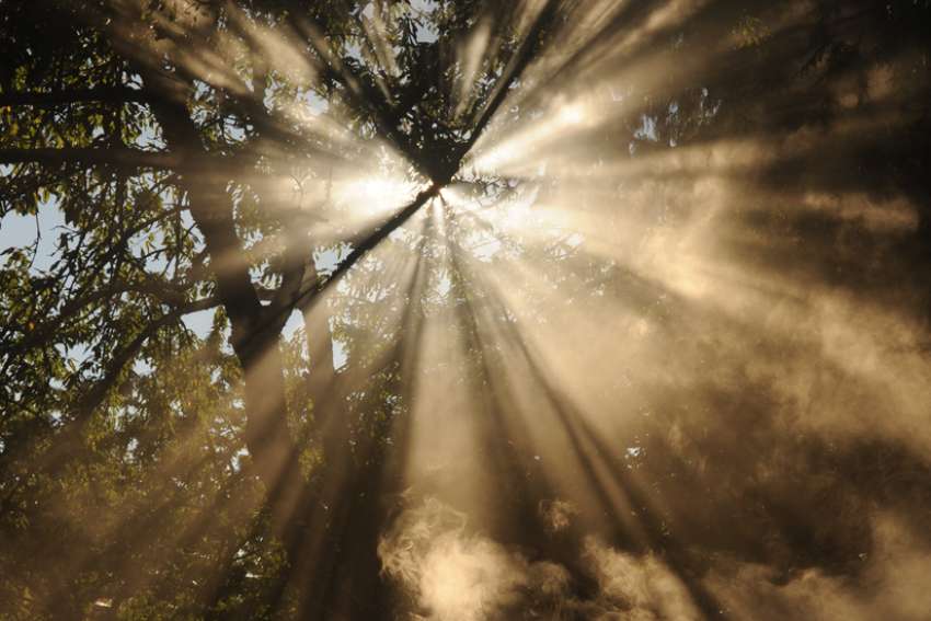God's Word on Sunday: Jesus’ ‘armour of light’ will slay the darkness